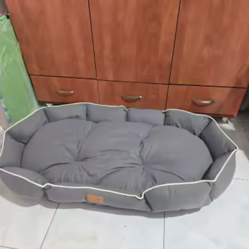 Image #1 de Pascal B.