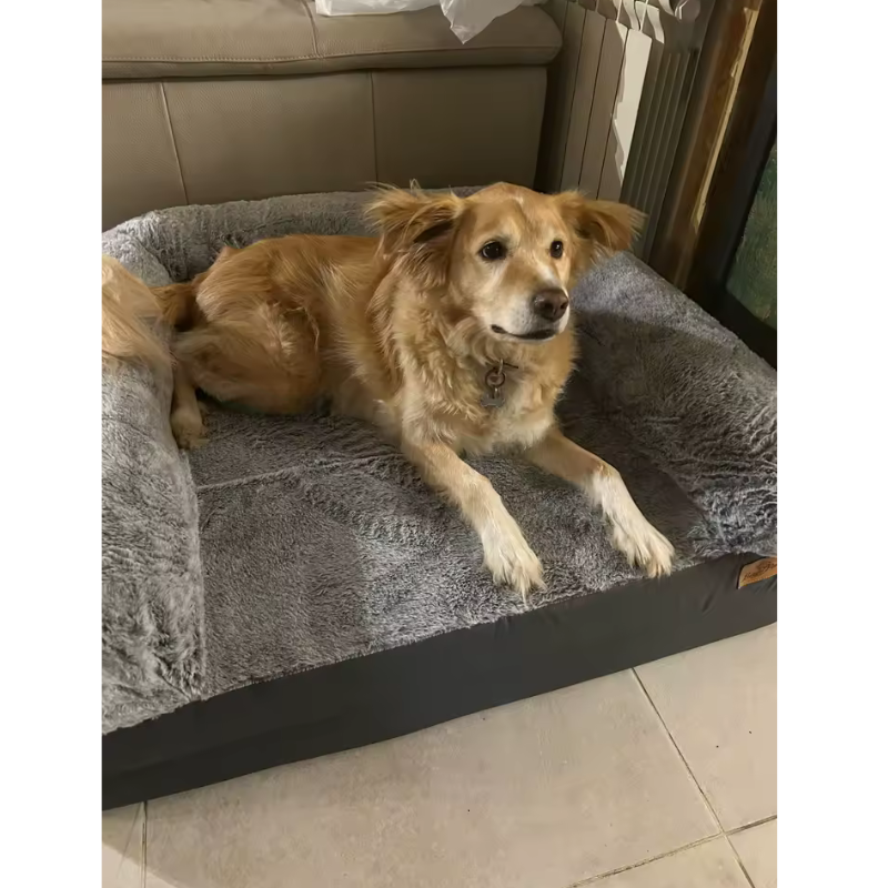 Image #1 de Anaïs B.