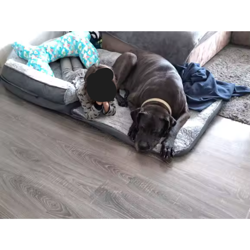 Image #1 de Delphine R.