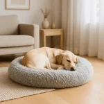 Labrador dans panier apaisant Panier apaisant ultra doux pour chien – Confort et anti-stress