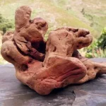 Racine à Mâcher Naturelle pour Chien | Mastication Durable & Anti-Stress