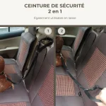 Ceinture de sécurité 2 en 1 : ceinture et laisse Ceinture de sécurité 2 en 1 : ceinture et laisse
