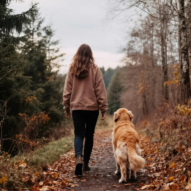 promenade et sécurité chien