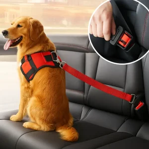 Ceinture de Sécurité pour Chien – Sangle Auto Ajustable & Renforcée | Fixation Boucle ISO Universelle