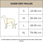 Guide des tailles du harnais anti-traction