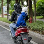 chien dans sac à dos pour chien sur un scooter Chien dans sac à dos pour chien sur un scooter