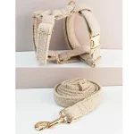 Harnais et laisse - Ensemble Teddy doux-1.webp Harnais et laisse - Ensemble Teddy doux