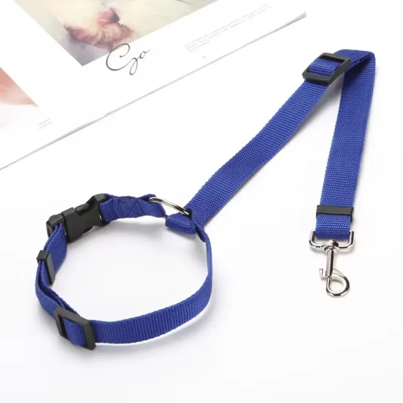 Ceinture de Sécurité 2-en-1 bleue